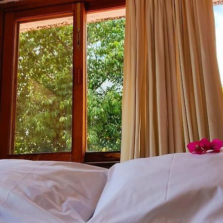 Ixlum Hoteles Y Casas Vacacionales Tepoztlán Eksteriør bilde